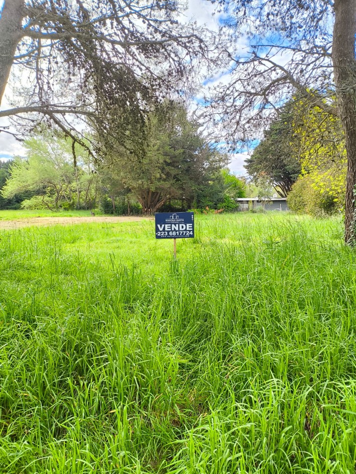 VENTA DE LOTE BARRIO LA ARMONIA