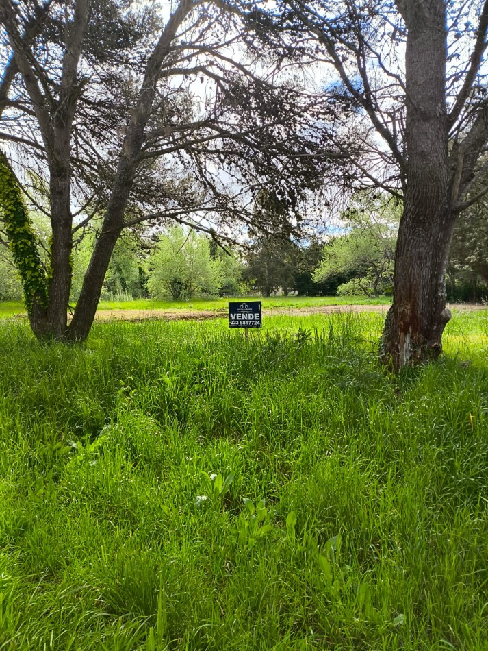 VENTA DE LOTE BARRIO LA ARMONIA
