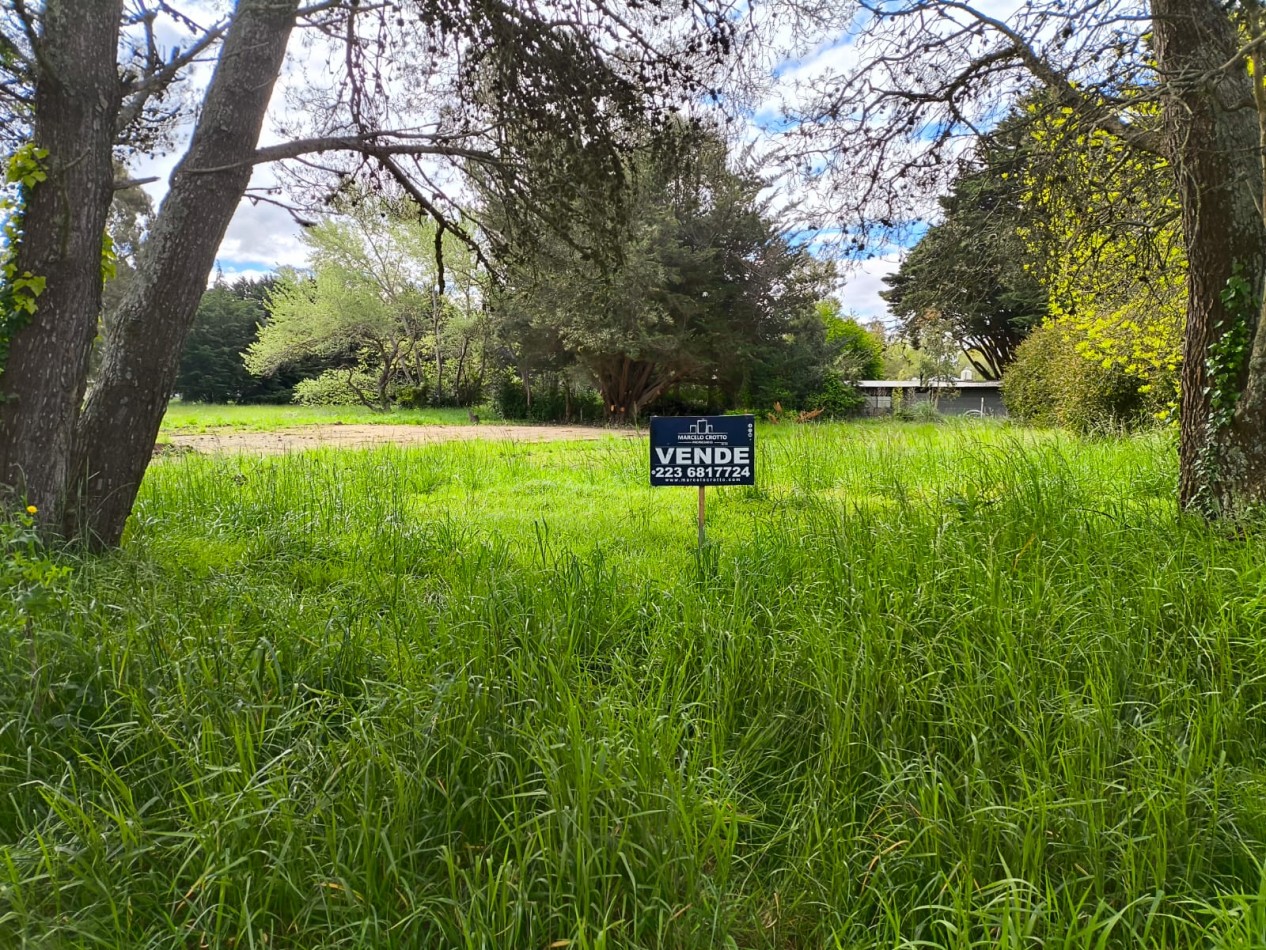 VENTA DE LOTE BARRIO LA ARMONIA