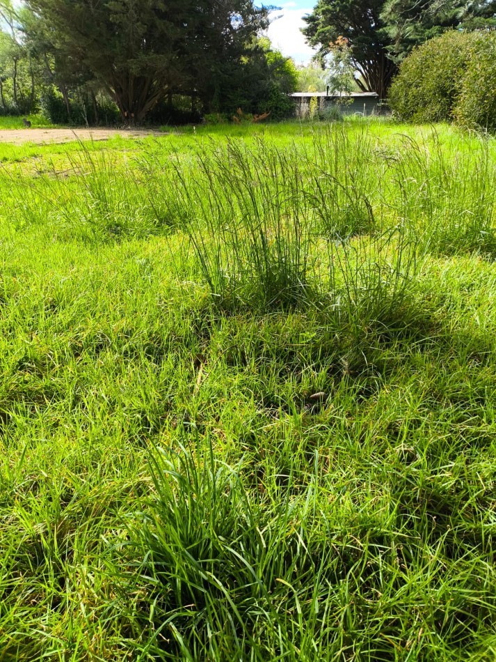 VENTA DE LOTE BARRIO LA ARMONIA