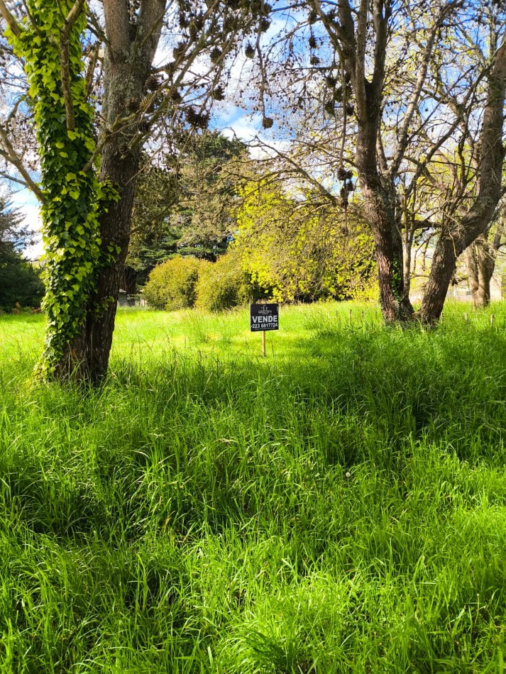 VENTA DE LOTE BARRIO LA ARMONIA